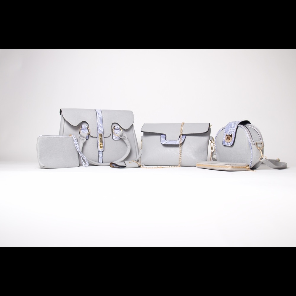 Women handbag and purse 6-in-1 set